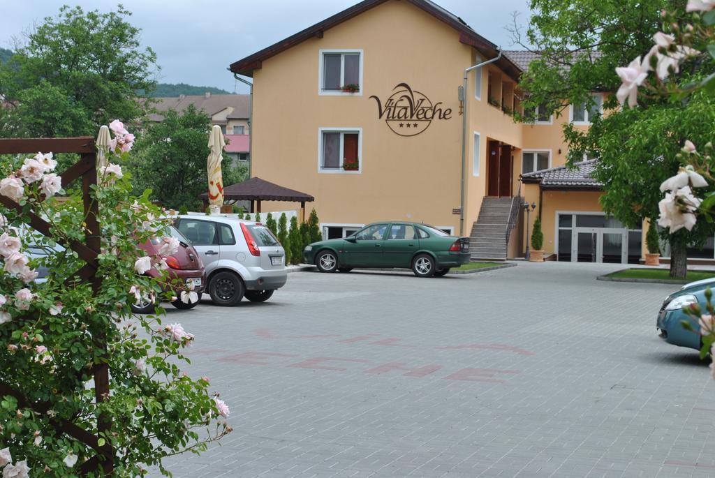 Vila Veche Hateg Luaran gambar